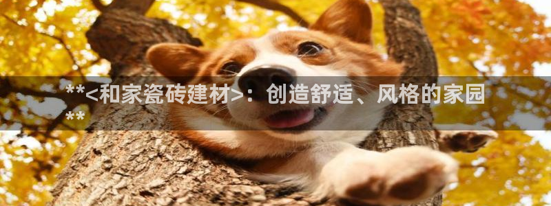 杏鑫平台代理注册登录不了怎么办呀视频