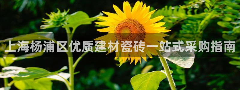 杏鑫官网最新信息新闻