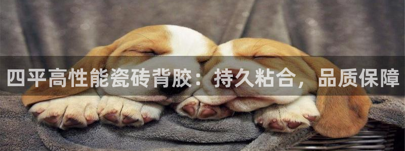 杏鑫娱乐负责人