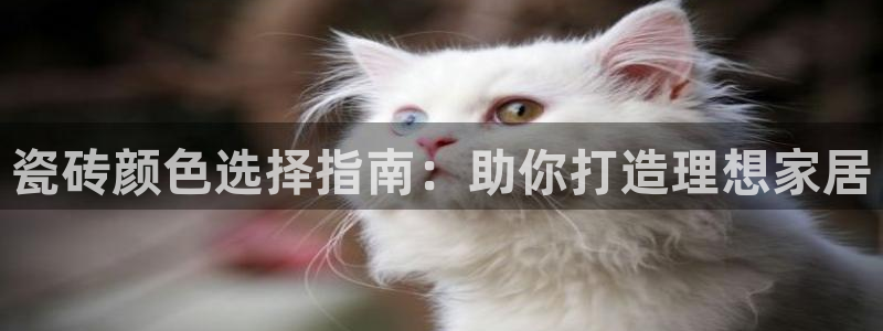 杏鑫官网注册账号怎么注册