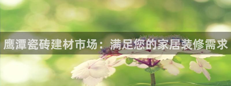 杏鑫平台代理注册流程