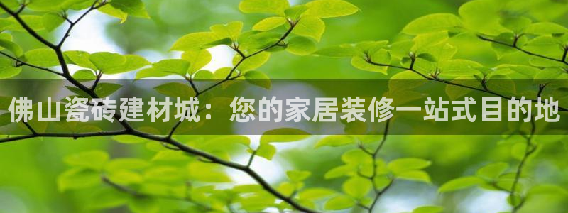 杏鑫平台代理怎么做