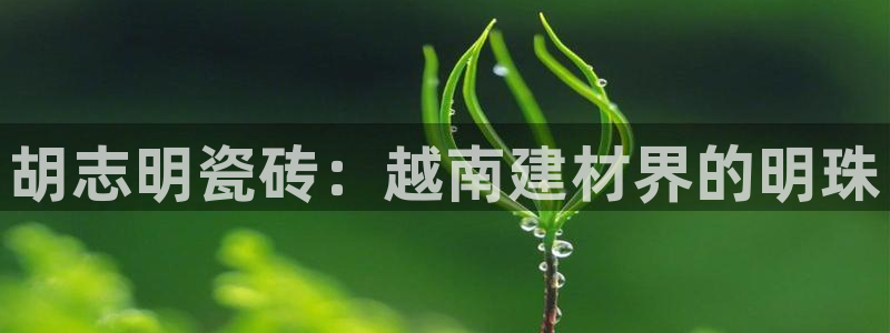 杏鑫注册平台官方网站