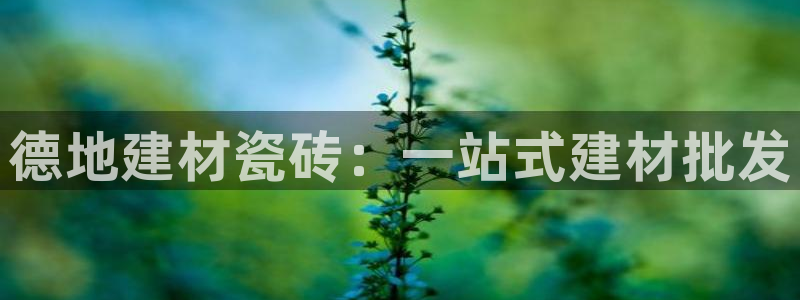 杏鑫官网注册账号密码是多少