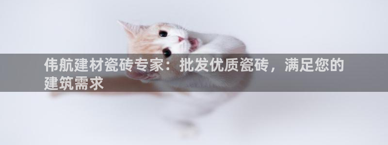 杏鑫代理注册平台