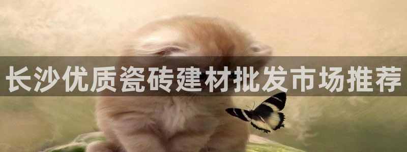 杏鑫娱乐官方网站客户端下载