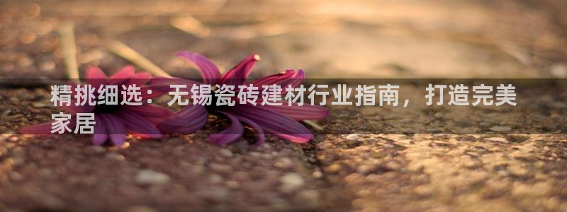 杏鑫平台代理怎么做的