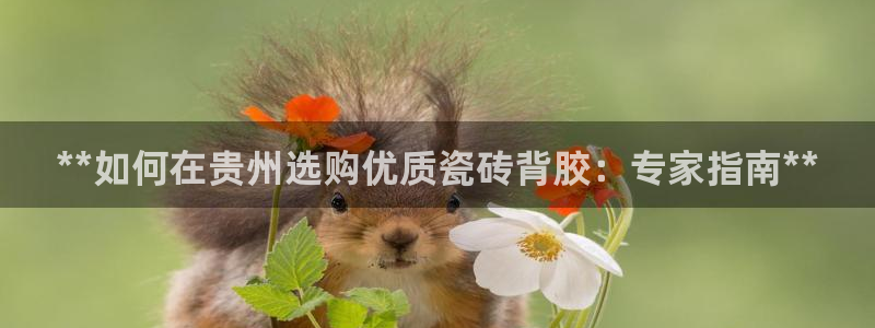 杏鑫娱乐官方网站客户端下载安装
