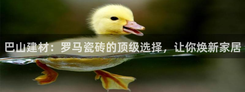 杏鑫平台线路测速