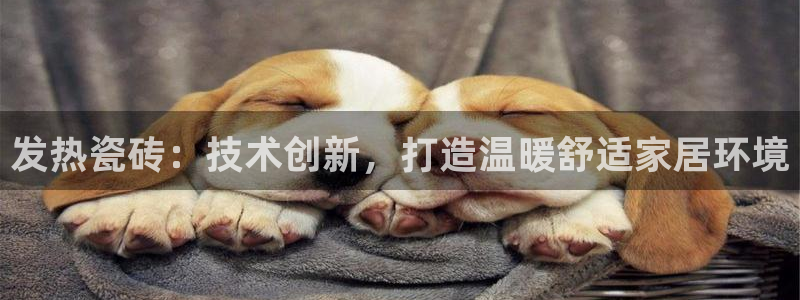 杏鑫平台代理怎么样赚钱