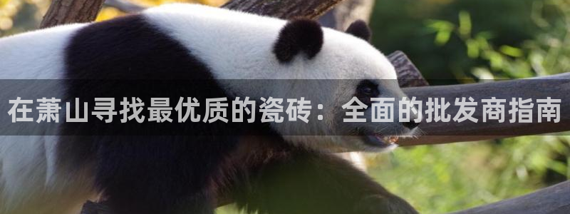 杏鑫娱乐平台测速