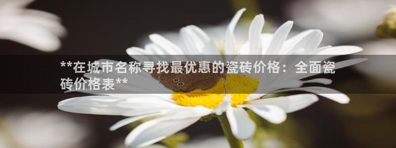 杏鑫官网最新信息新闻