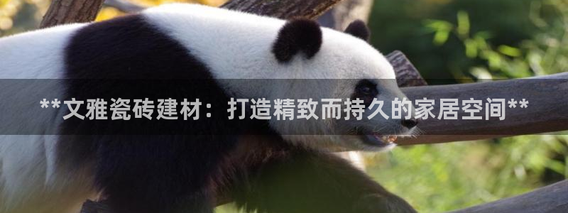 杏鑫娱乐多少年了