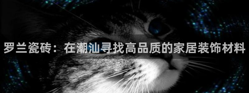 杏鑫平台代理注册流程图