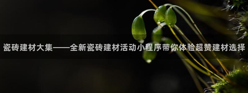 杏鑫平台代理注册多少钱啊