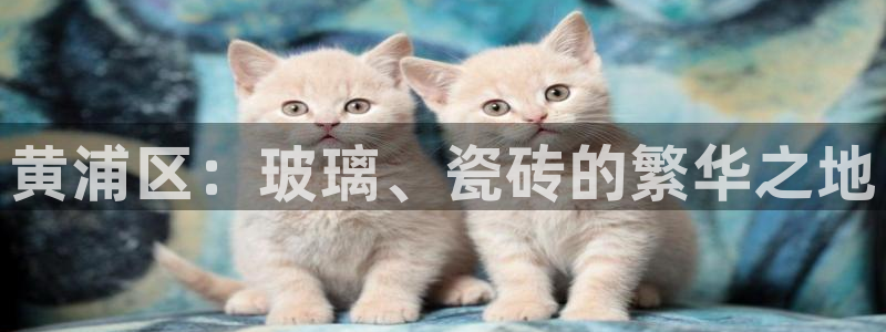 杏鑫娱乐测速