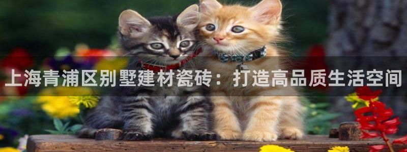 杏鑫代理注册登录