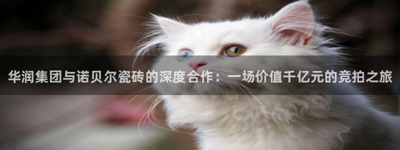 杏鑫官网最新信息新闻报道