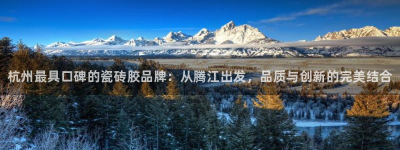 杏鑫平台注册登录