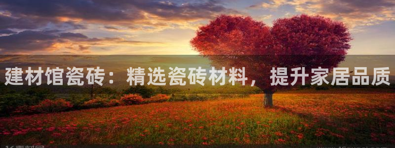 杏鑫平台代理怎么做赚钱