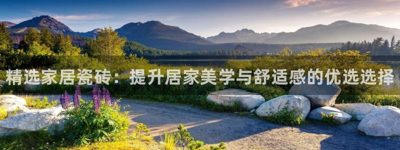 杏鑫注册登录平台是什么