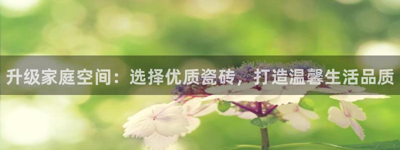 杏鑫官网注册账号密码是多少