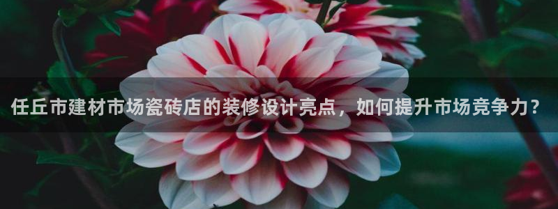 杏鑫平台正规吗可信吗