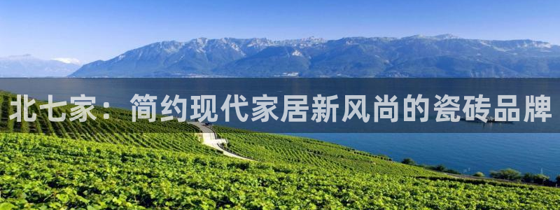 杏鑫平台怎么样