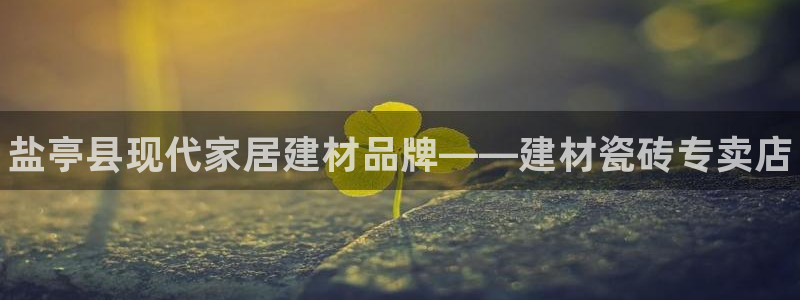 杏鑫平台代理怎么样